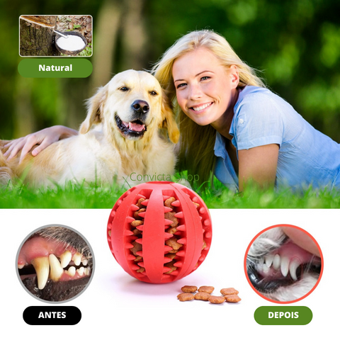 Pet Ball - Bola anti Stress (Brinca e Limpa os Dentes )  PROMOÇÃO