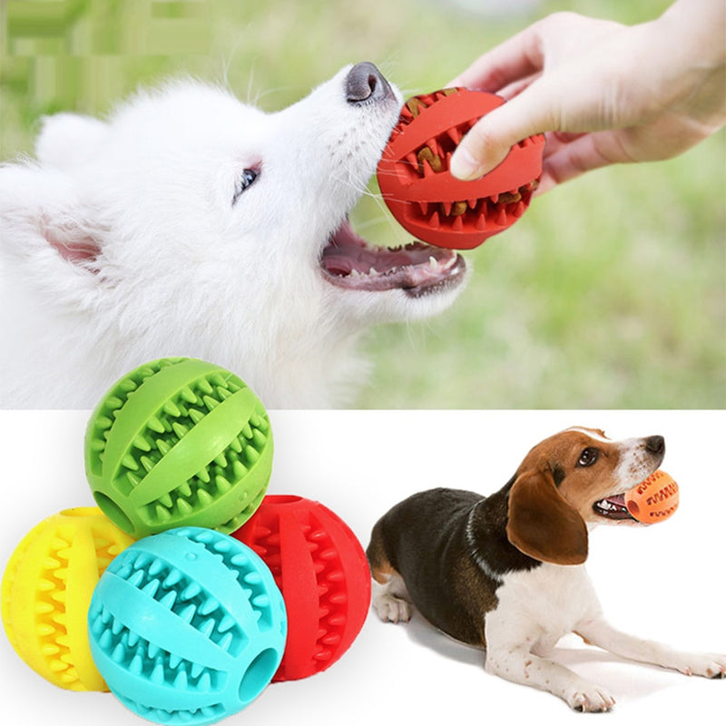 Pet Ball - Bola anti Stress (Brinca e Limpa os Dentes )  PROMOÇÃO